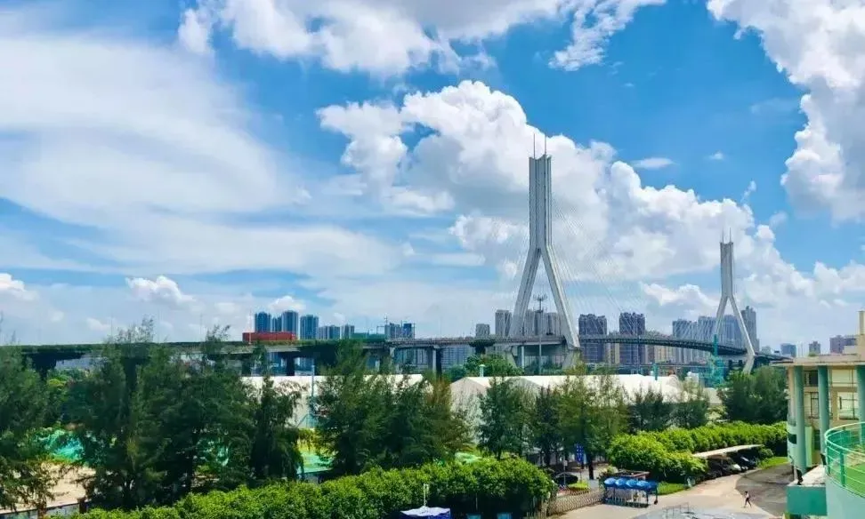 不需要参加中考!开设澳洲课程,可寄宿!一文了解广州市为明学校国际部 第20张