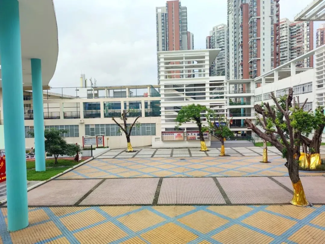 不需要参加中考!开设澳洲课程,可寄宿!一文了解广州市为明学校国际部 第23张