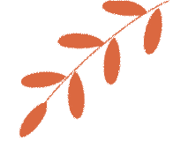 深耕命题研思,凝力高效课堂——初中英语中考备考专题教研活动圆满落幕 第3张