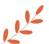 深耕命题研思,凝力高效课堂——初中英语中考备考专题教研活动圆满落幕 第16张