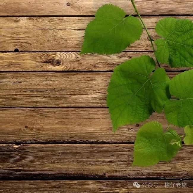 家有中小学生必看---中考真题《难忘故乡的____》满分指导 第3张