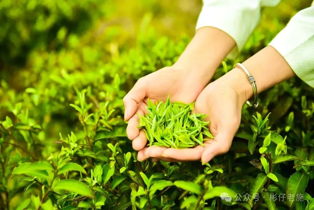 家有中小学生必看---中考真题《____的脚印》满分指导 第3张
