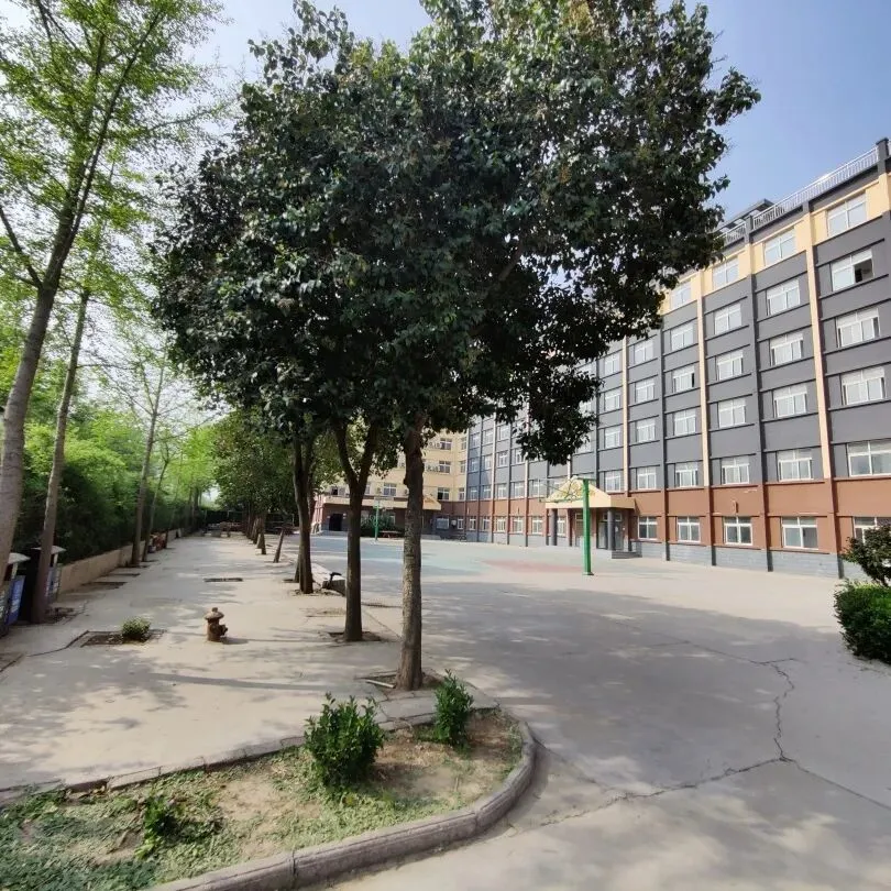 郑州初三全日制集训班,郑州中考冲刺班,10-15人/班,郑州初三一对一,郑州初三辅导补习机构,全力冲刺2026 第43张