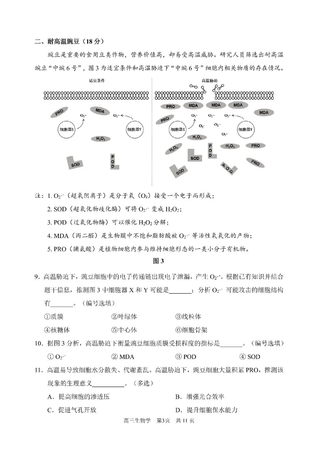 2026届浦东新区高三二模生物试卷 第3张