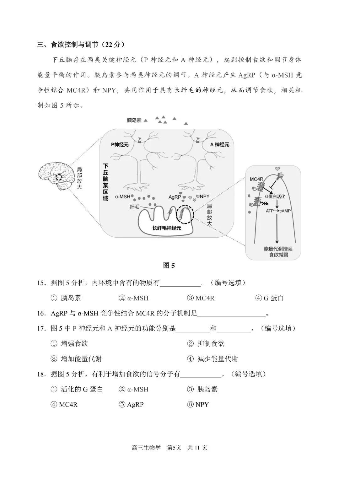 2026届浦东新区高三二模生物试卷 第5张