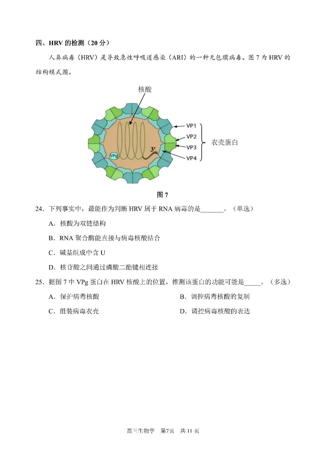 2026届浦东新区高三二模生物试卷 第7张