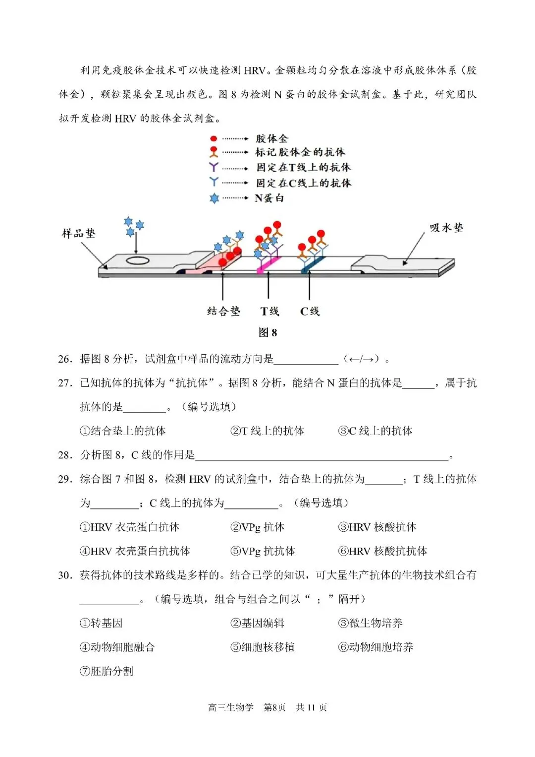 2026届浦东新区高三二模生物试卷 第8张