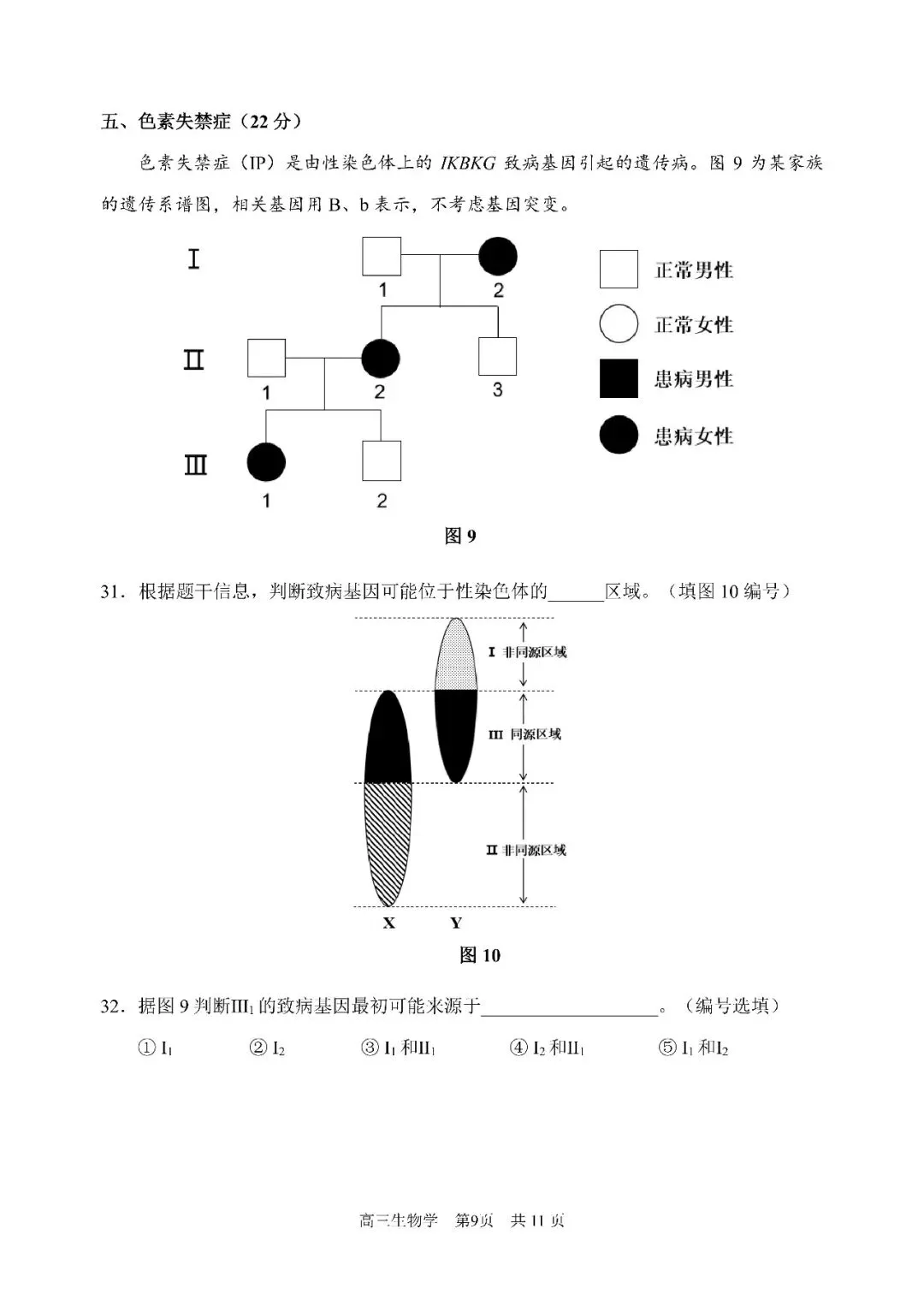 2026届浦东新区高三二模生物试卷 第9张