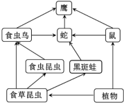 生物试题 | 2026年高考第二次模拟考试(黑吉辽蒙专用)学易金卷01-生物试题 第6张
