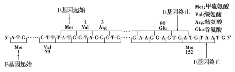 生物试题 | 2026年高考第二次模拟考试(黑吉辽蒙专用)学易金卷01-生物试题 第7张