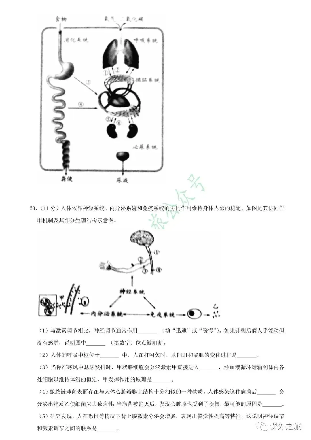 【中考真题】生物《中考真题测试卷》(含答案)可下载 第9张