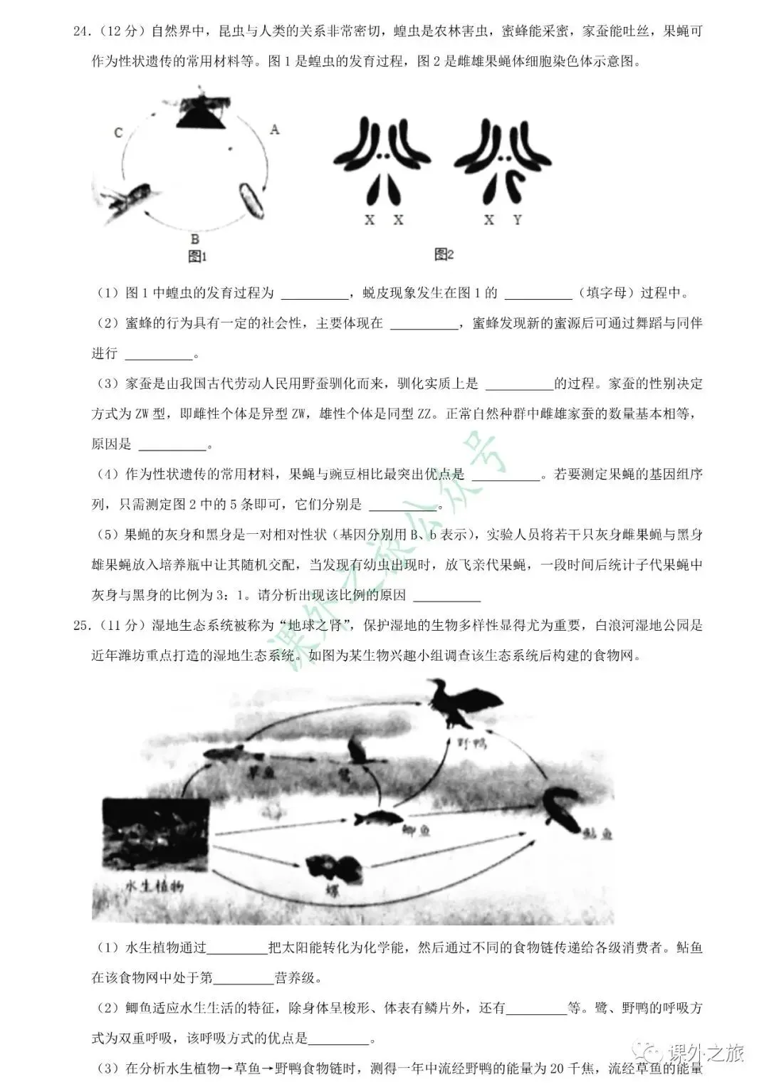 【中考真题】生物《中考真题测试卷》(含答案)可下载 第10张