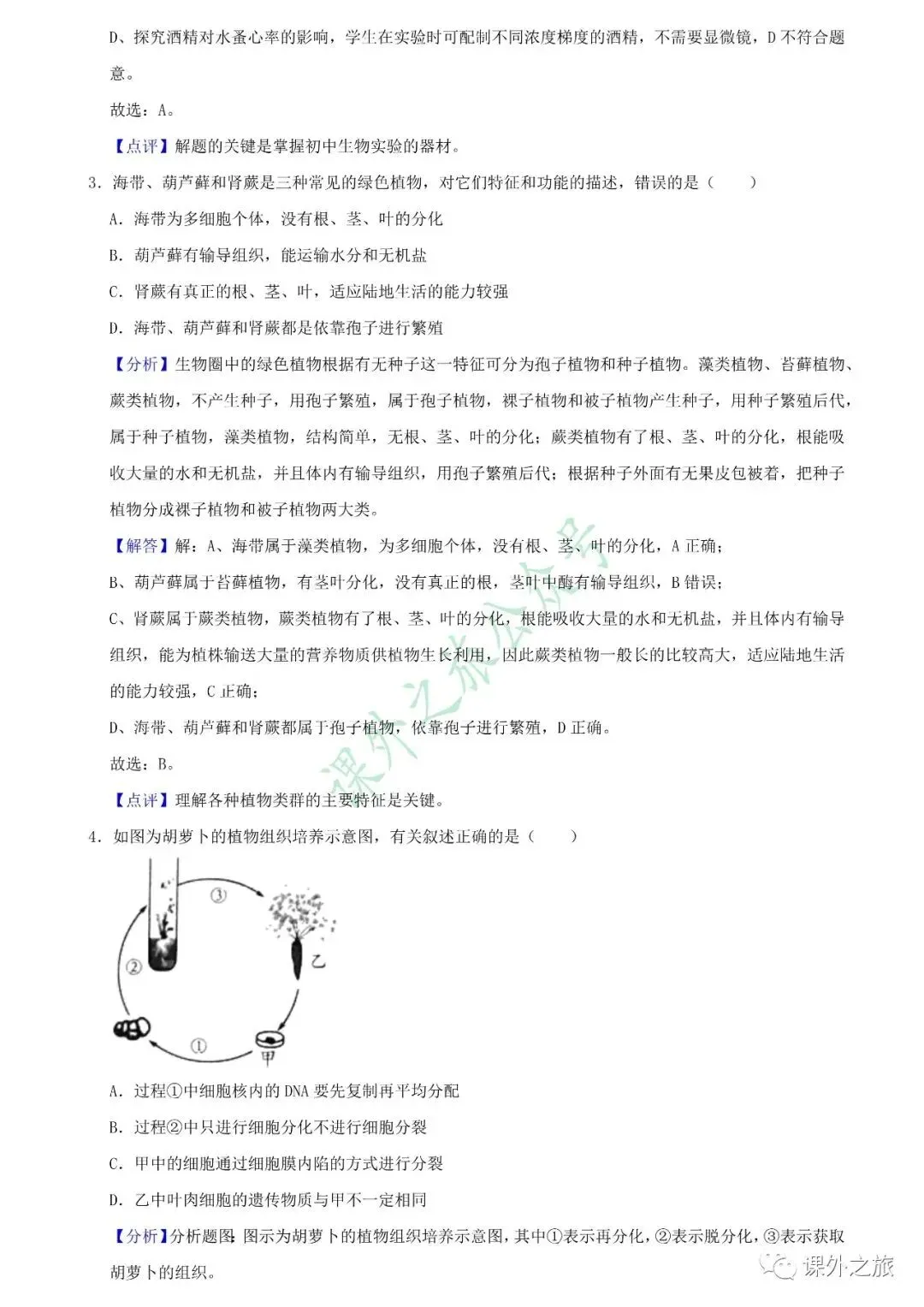 【中考真题】生物《中考真题测试卷》(含答案)可下载 第12张