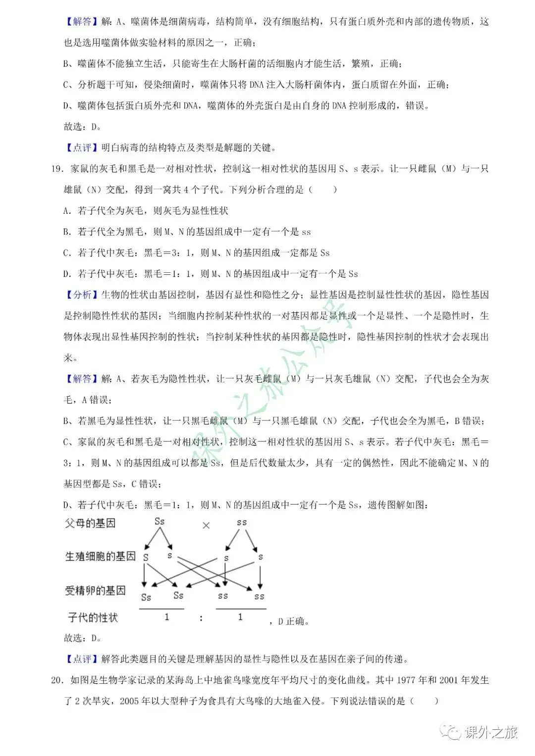 【中考真题】生物《中考真题测试卷》(含答案)可下载 第20张