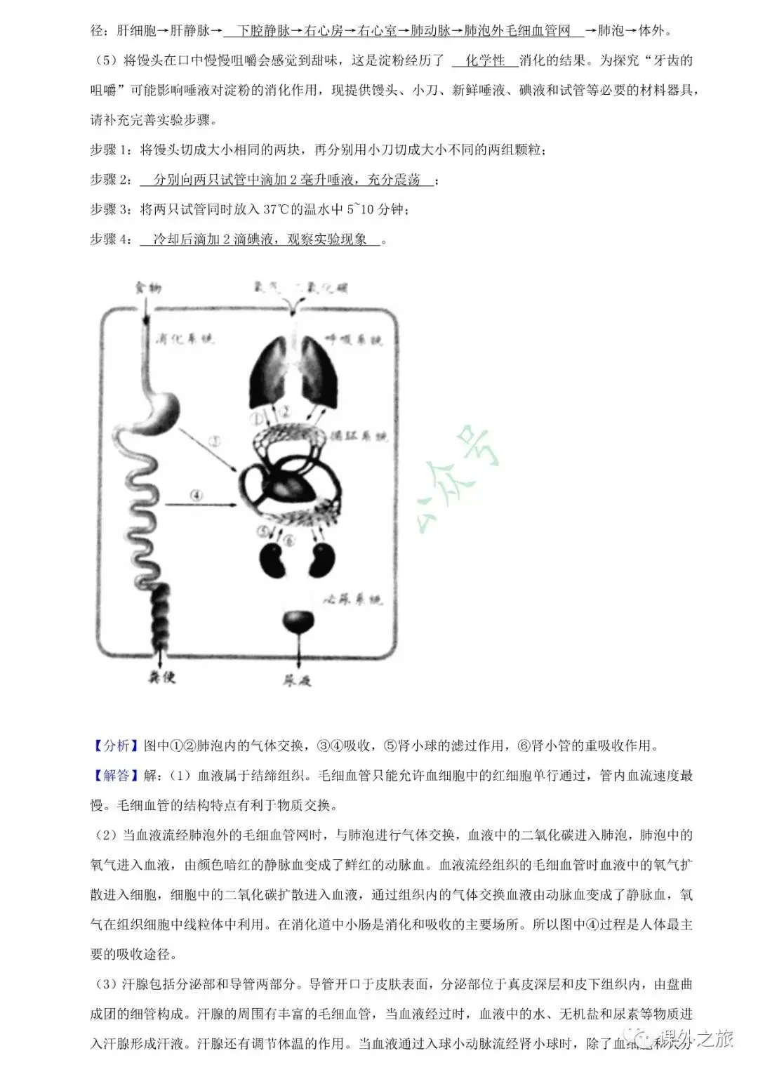 【中考真题】生物《中考真题测试卷》(含答案)可下载 第24张