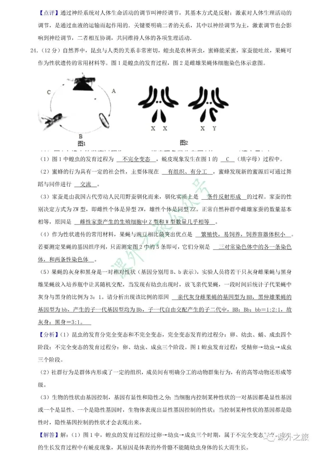 【中考真题】生物《中考真题测试卷》(含答案)可下载 第27张