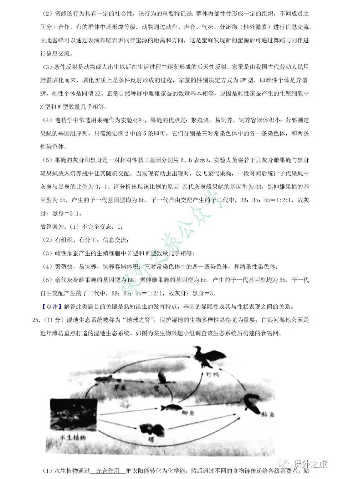 【中考真题】生物《中考真题测试卷》(含答案)可下载 第28张