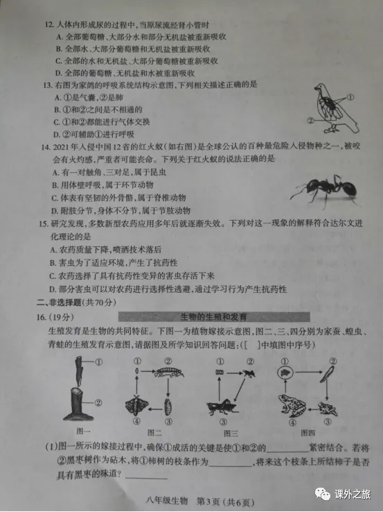 【中考真题】生物《中考真题测试卷》(含答案)可下载 第33张