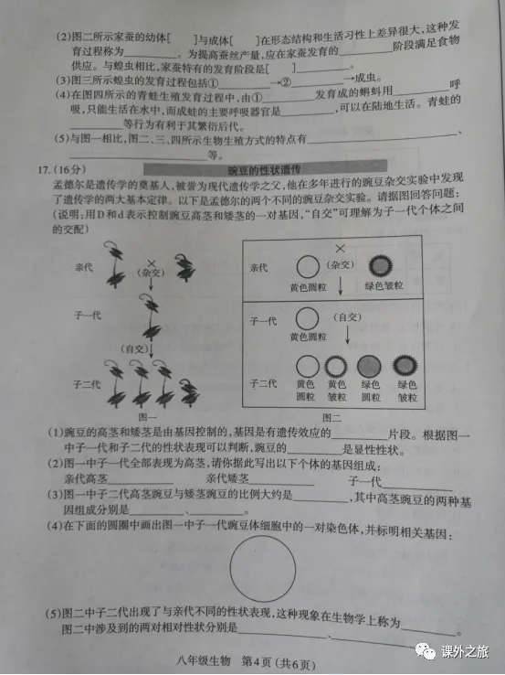 【中考真题】生物《中考真题测试卷》(含答案)可下载 第34张