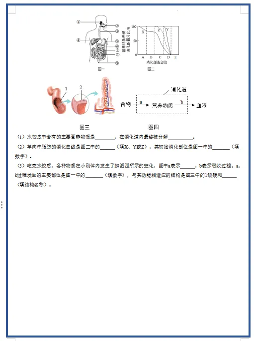 2026新人教版生物:七年级下册期中考试模拟试卷(共3套),附答案,提前打印出来做一做,拿高分! 第11张