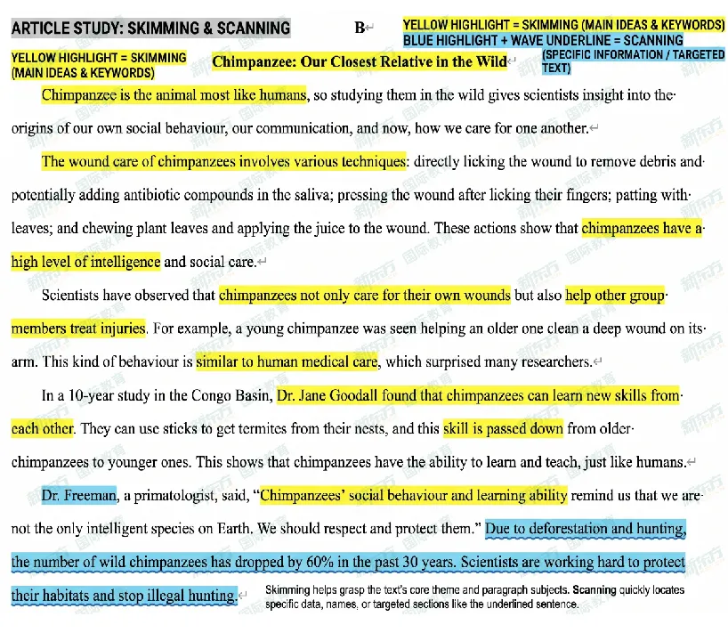 2026深圳中考英语|用雅思思维,实现降维提分 第4张