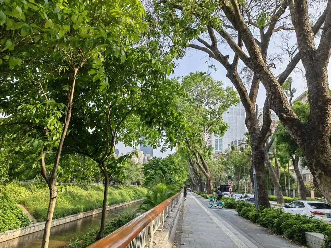 天津津南“试卷风波”:折射出现今部分教师“躺平”、不少家长“越界”以及越来越多孩子学习“无动力”教育困局! 第1张