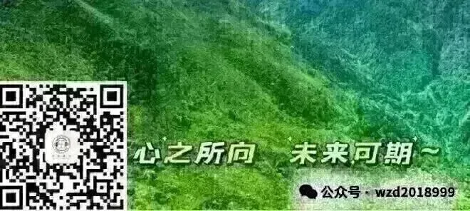 中考真题题源专题解密07-形容词和副词 第2张