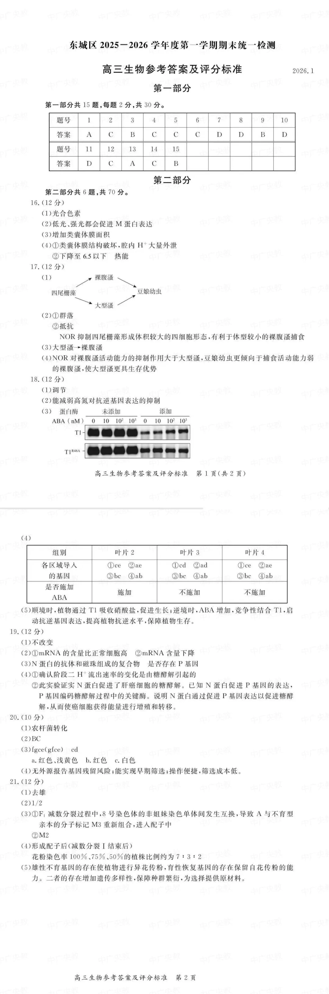 东城高三上生物 | 真题 +答案 第5张