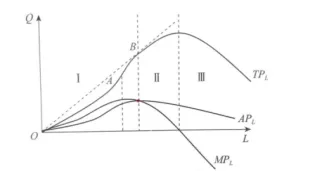 经济学模拟试卷(附解析) 第1张