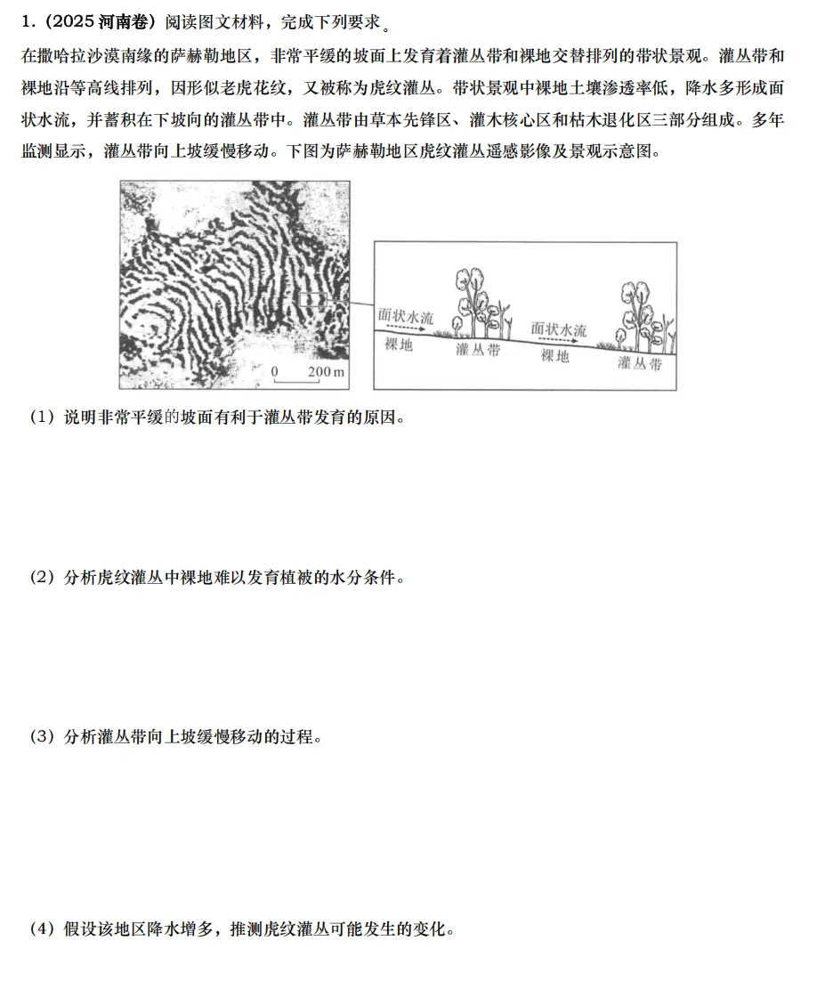【真题拆解】2025年河南卷那道“虎皮灌丛—植被生长”的题 第2张