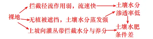 【真题拆解】2025年河南卷那道“虎皮灌丛—植被生长”的题 第4张