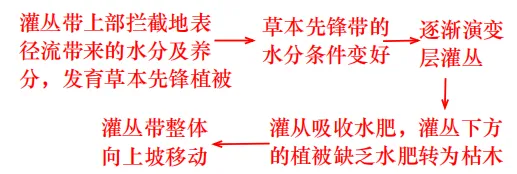 【真题拆解】2025年河南卷那道“虎皮灌丛—植被生长”的题 第6张
