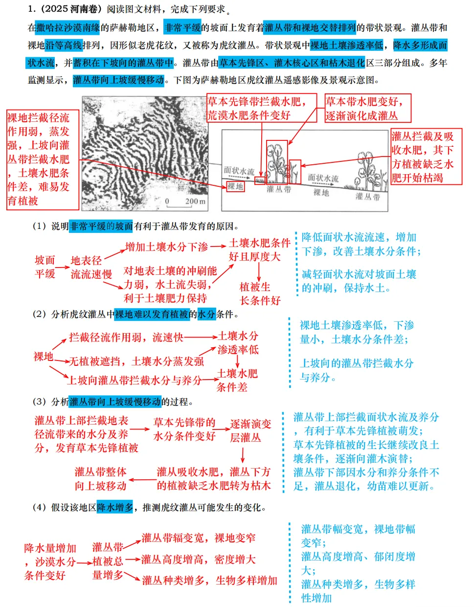 【真题拆解】2025年河南卷那道“虎皮灌丛—植被生长”的题 第8张