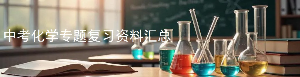 挑战满分!中考化学实验探究题型汇总+真题强化训练 第6张