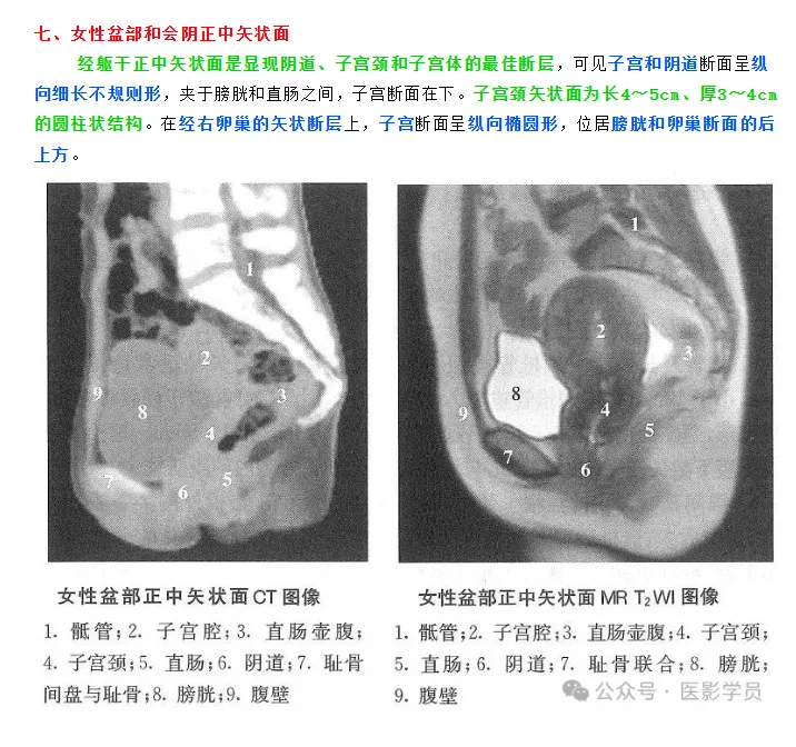 2026年放射技师--真题回忆 第24张