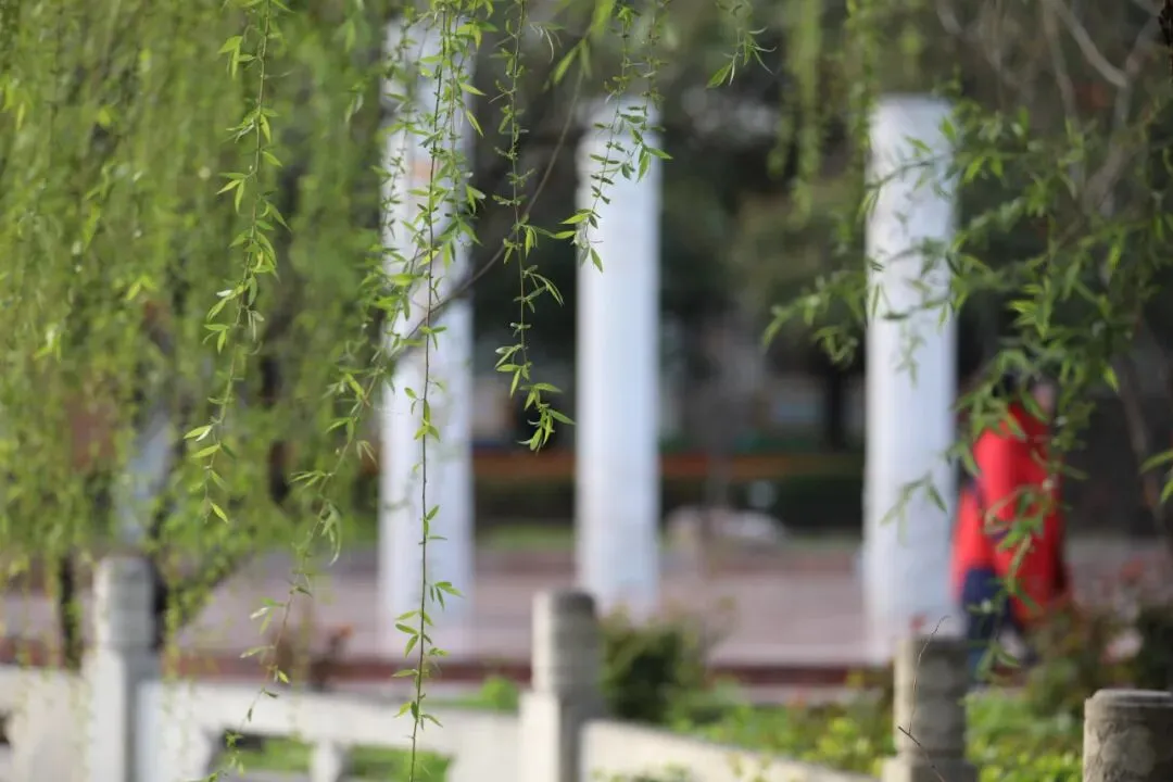 距中考48天丨七周炼就火眼金睛 第1张