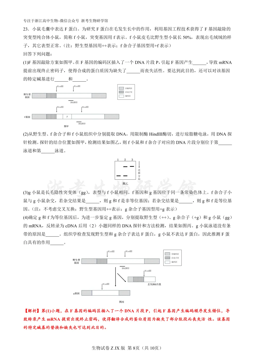再刷真题|2024年浙江省1月选考试题及解析(官方解析) 第10张