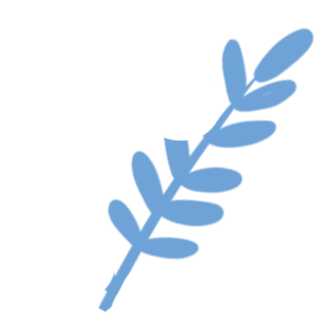 心有光,稳心态,冲刺中考!|高唐鸣山学校中考备战心理专题讲座圆满举行 第3张