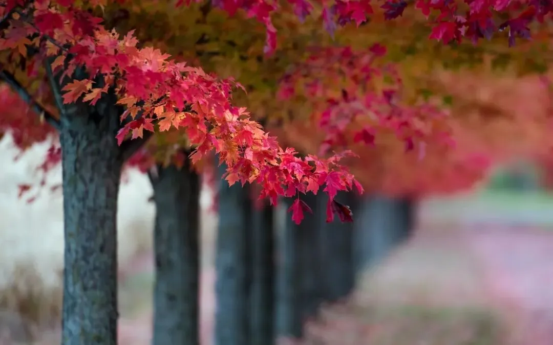风靡书圈:《押送高考试卷那天,家长堵了我的车不让我进》林楠赵丽华【TXT閲读-在线】大结局 第4张