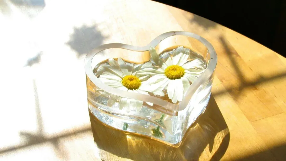 风靡书圈:《押送高考试卷那天,家长堵了我的车不让我进》林楠赵丽华【TXT閲读-在线】大结局 第5张