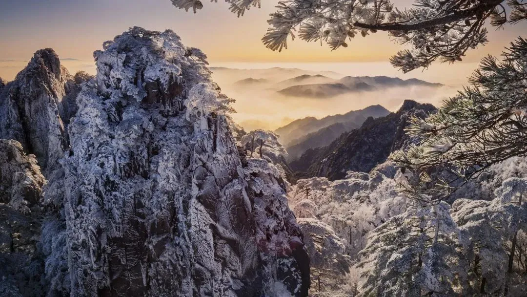 风靡书圈:《押送高考试卷那天,家长堵了我的车不让我进》林楠赵丽华【TXT閲读-在线】大结局 第9张