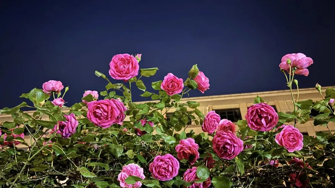 英语期中测评试卷,大家觉得怎么样? 第2张