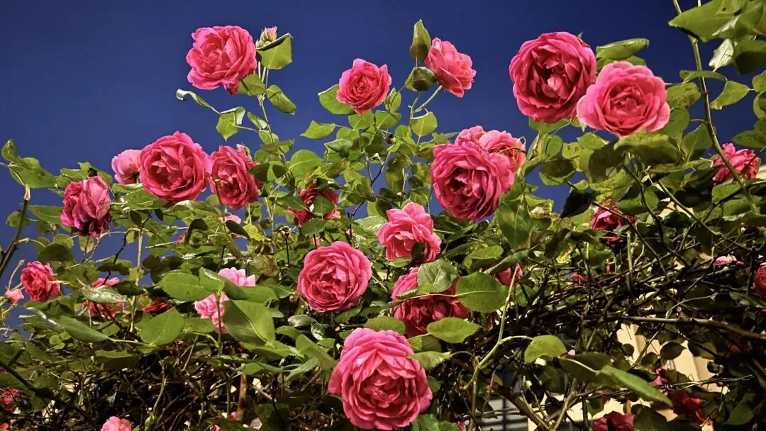 英语期中测评试卷,大家觉得怎么样? 第3张