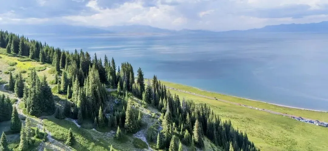 英语期中测评试卷,大家觉得怎么样? 第6张