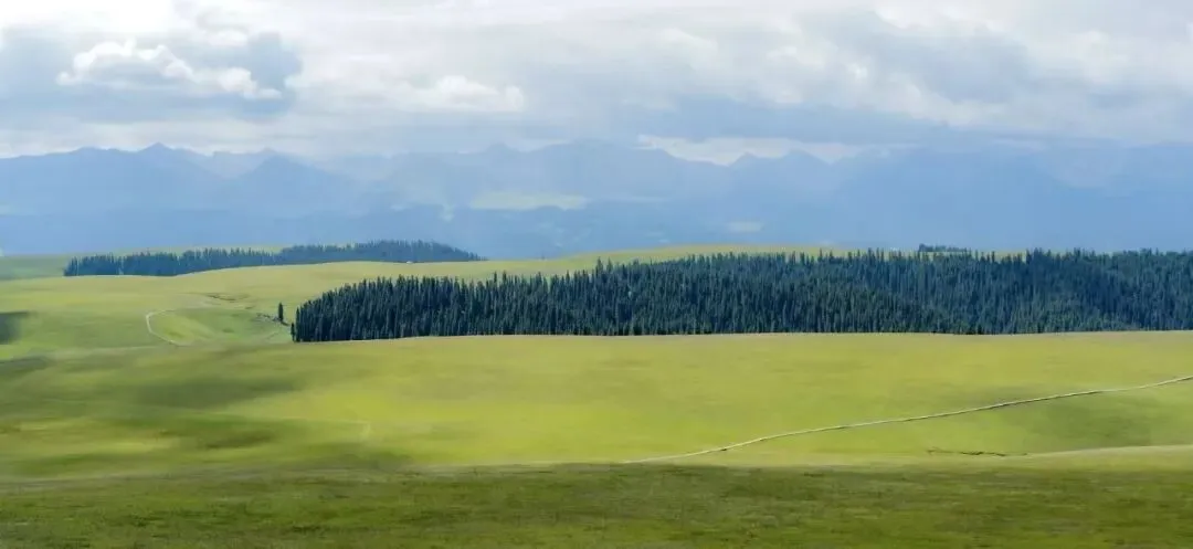 英语期中测评试卷,大家觉得怎么样? 第7张