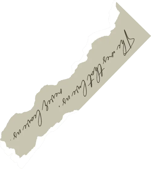 郑州初三模考本周进行—考后臻选试卷+模考直播助力来啦 第4张