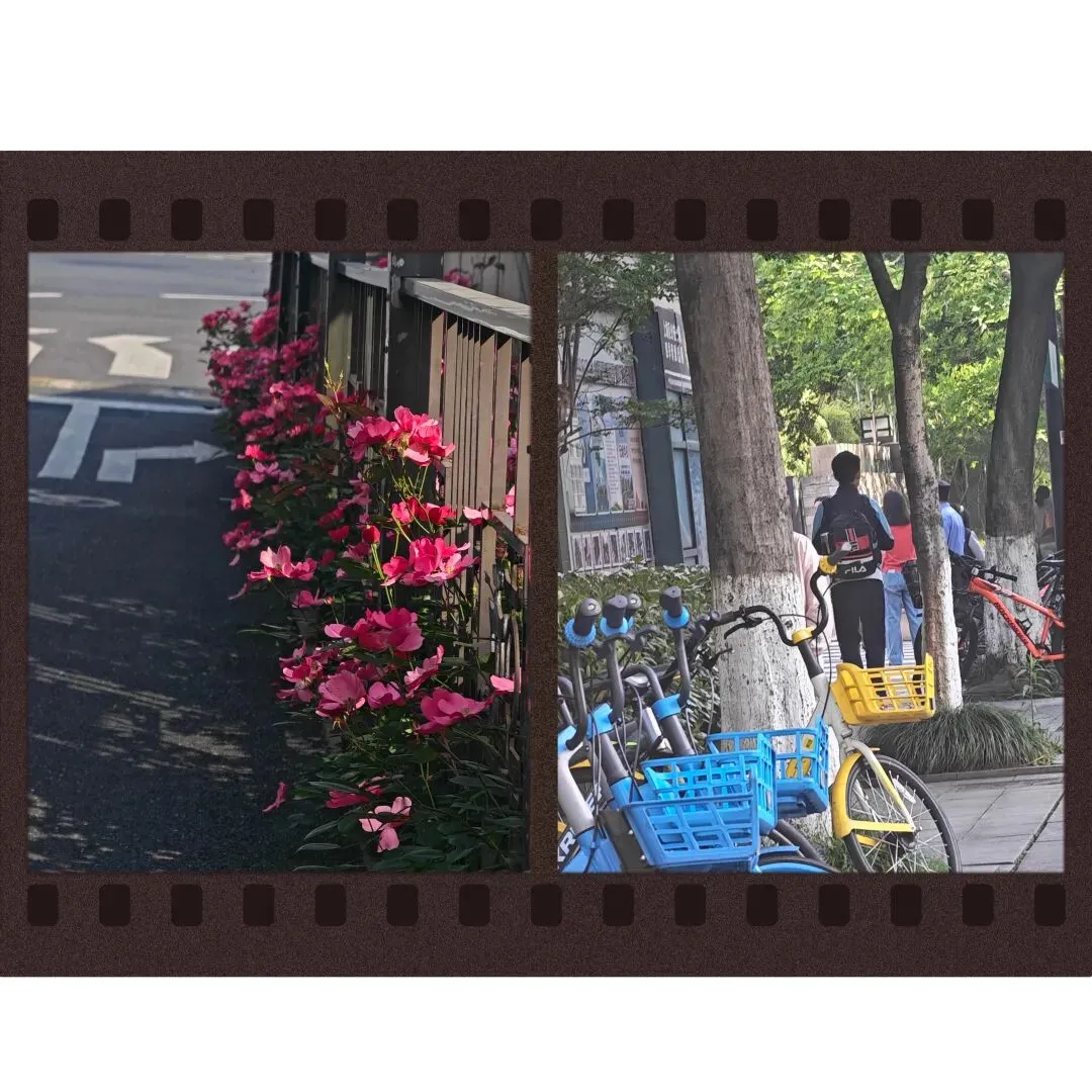 中考临近,学会调和能量,顺利通过每次考试~ 第1张