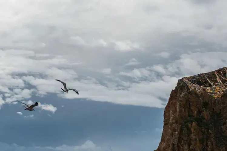 【中考阅读指导】志当存高远(综合性学习)广东2025 第6张