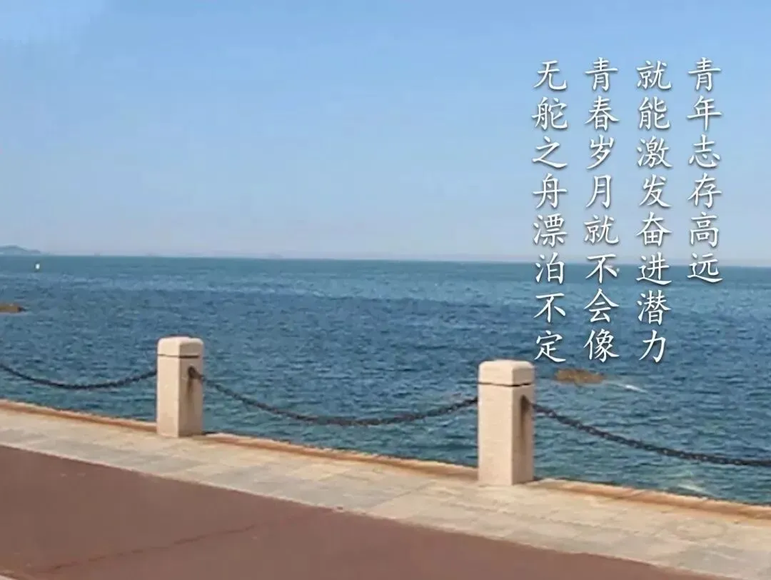 【中考阅读指导】志当存高远(综合性学习)广东2025 第7张