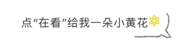 中考语文作文:“开头结尾”(附押题范文) 第1张